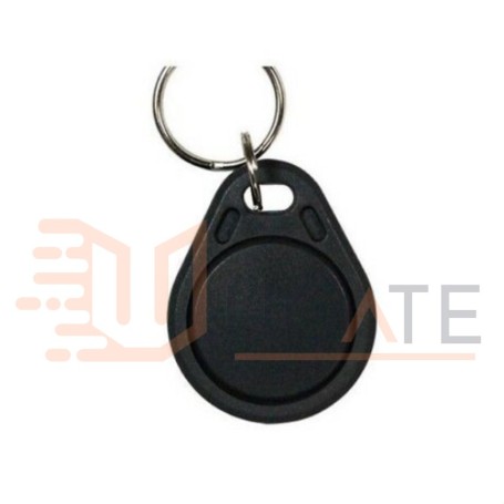 Keychain format transponder for minitime reader resist FAAC 786323