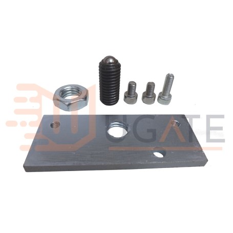 Kit Modifica Per Motore EM51 Ricambio Originale APRIMATIC 41210/132