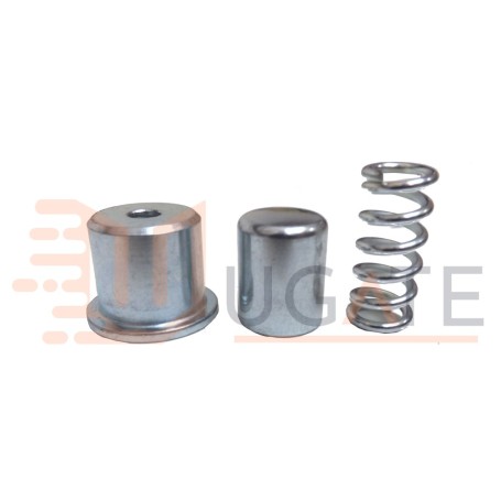 Tapa - Muelle de desembrague para motor EM73 Recambio original APRIMATIC 41060/110