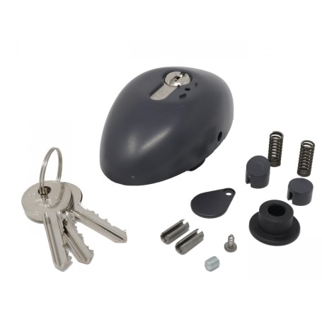 Déverrouillage de clé personnalisé GIBIDI AJ00600