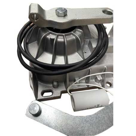 Motore operatore interrato elettromeccanico 230V compatibile con FROG CAME