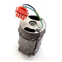 Asendusstaatori mootor 230v 220v 4P FAAC 7700055 ajamitele 400 402 422 750