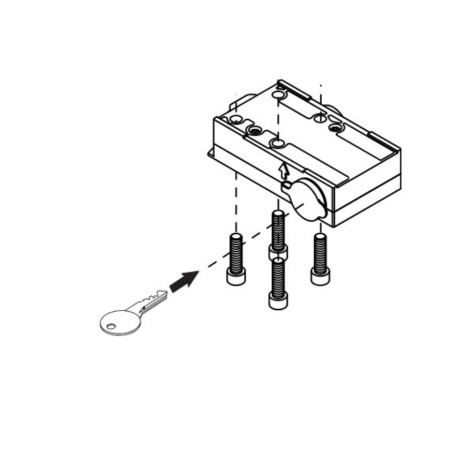 Sblocco Blocco a Chiave Din Per Motori Cubic DITEC ENTREMATIC CUBIC6SBD1