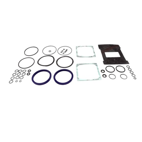 Kit Completo di Guarnizioni per Operatore FAAC 760