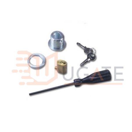 Kit de desbloqueo para exteriores con trinquete de llave para puertas basculantes NICE OTA12