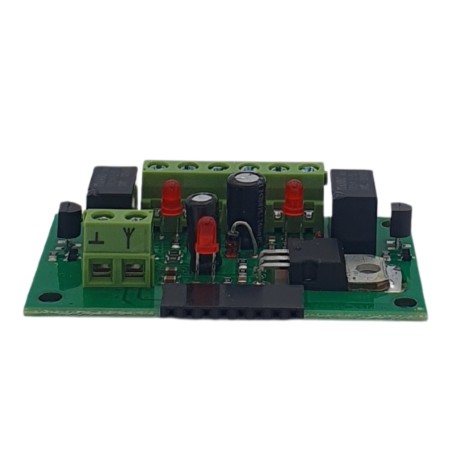 ADT-RGR-2K Adaptador de Placa de Receptor de Radio ROGER de 2 Canales 12/24V AC/DC Fuente de Alimentación