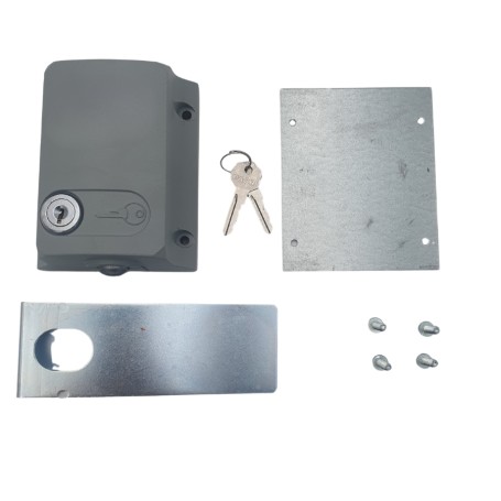 IRONLATCH220 Electric lock, 220V steel electric pole with strike plate